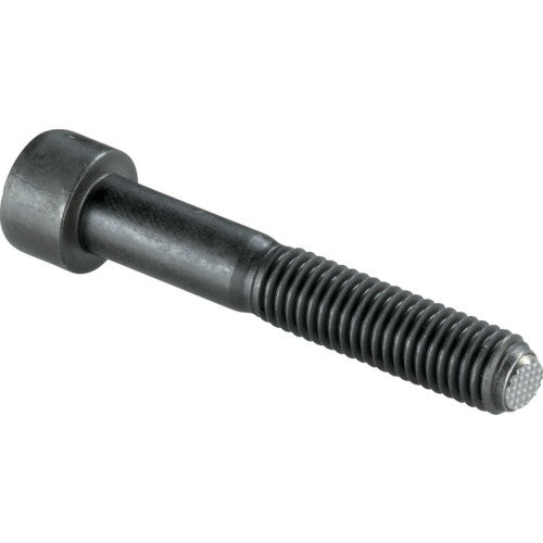 ロームヘルド・ハルダー HALDER セッティングスクリュー ヘッド付セレーション付 ピン径 M12 ピン長さ80 22700.0226 [1674-8221876](4)