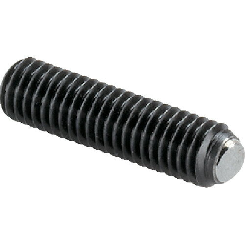 ロームヘルド・ハルダー HALDER セッティングスクリュー 面取りボール付 外径M10 全長40 22720.0608 [1674-8225546](4)