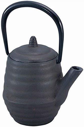 池永鉄工 tecco 急須 どんぐり - [1800-8416511]