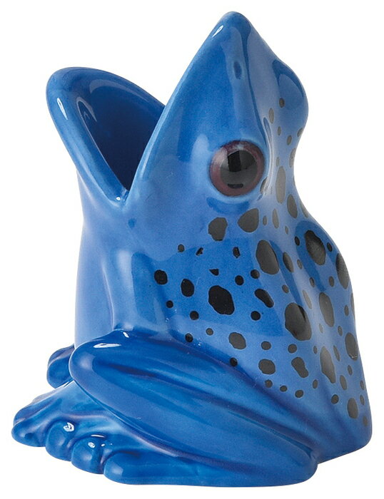 セトクラフト 歯ブラシスタンド（コバルトヤドクガエル） - [1953-9100875]