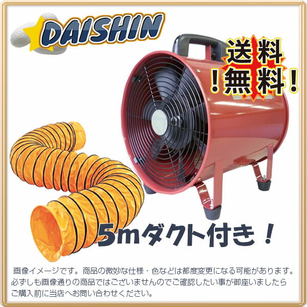 DAISHIN工具箱 ポータブルファン 送風機　300 ダクト5m付き 軸流送排風機 低価格 安い オリジナルセット [A020801]