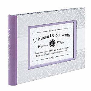 ナカバヤシ ウィンドウカバーアルバム エレガント バイオレット ア-FTPW-104-V [274-231462]