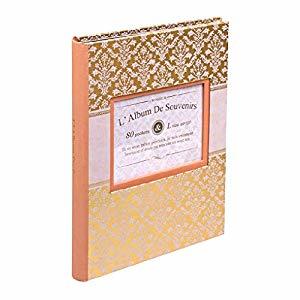 ナカバヤシ ウィンドウカバーアルバムL80-エレガントーピンク ア-FTPW-L-204-P [274-238867]