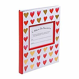 ナカバヤシ ウィンドウカバーアルバムL80-ビビットーレッド ア-FTPW-L-206-R [274-238881]