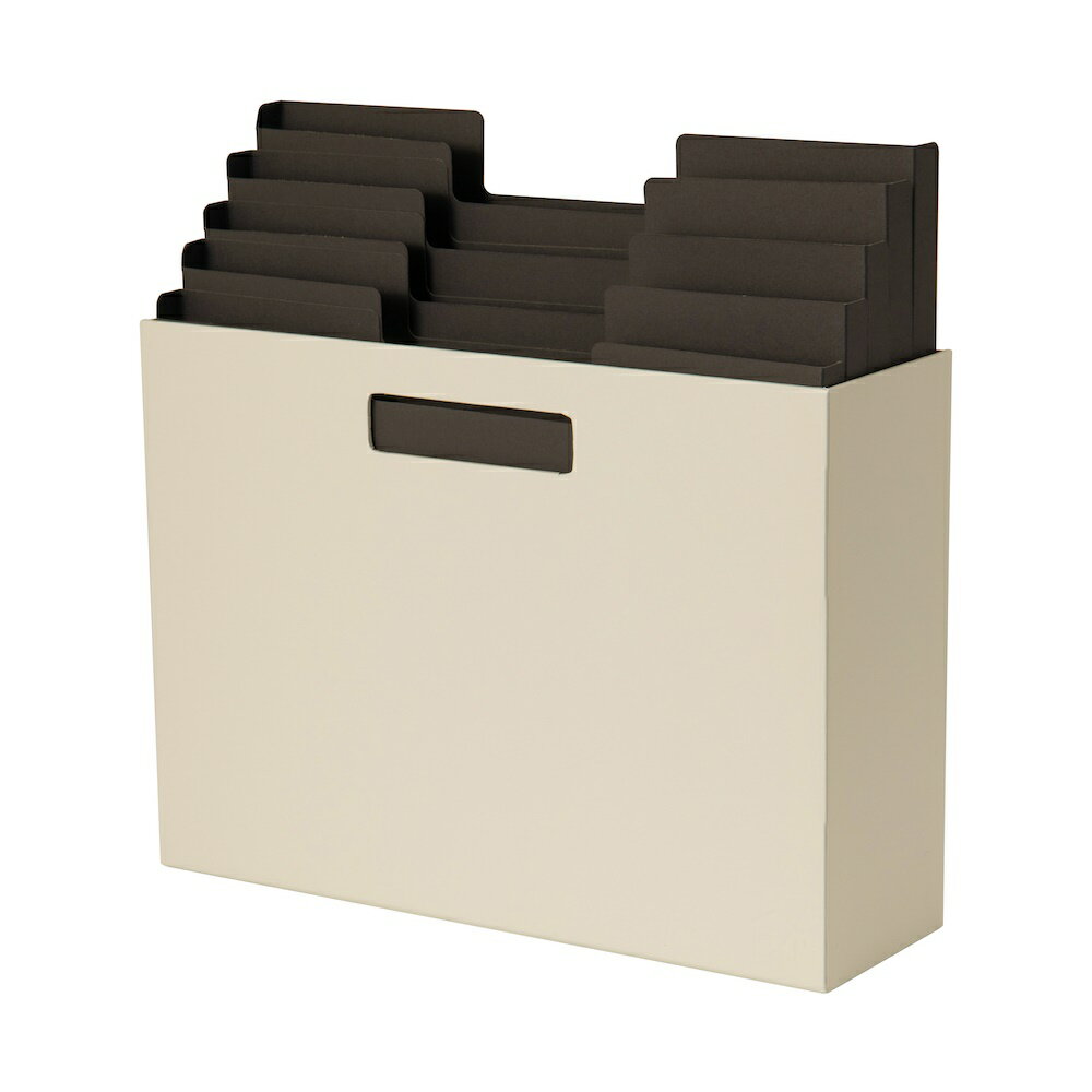 ナカバヤシ 仕切りケース付きファイルボックス/ベージュ HSD-FB01BE [274-913665]