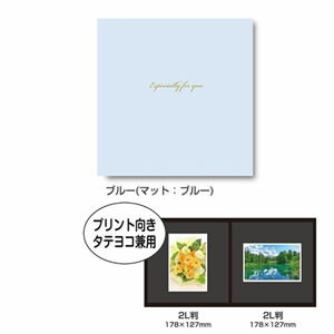 ナカバヤシ 写真台紙/スクエア/2Lサイズ/ブルー VM2L-301-B [274-329671]
