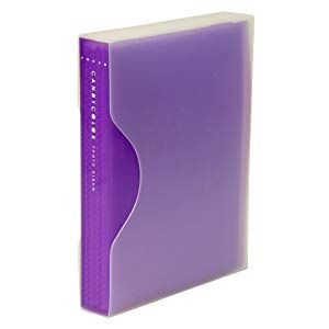 ナカバヤシ カラーカルバムL-120／バイオレット アカ-CPL-120-V/G [274-350767]