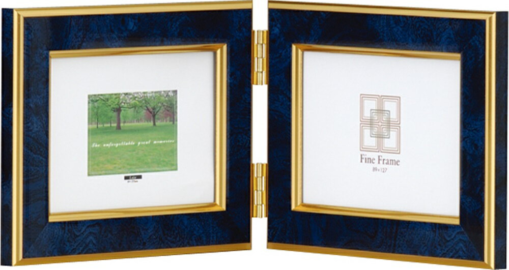 ʥХ䥷 եȥե졼/L2/֥롼/V -TP-152-B/V [274-834069]