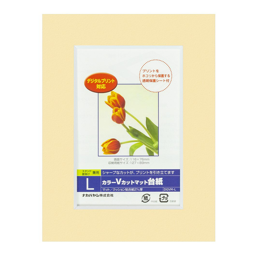 ナカバヤシ カラーVカット台紙L判/イエロー/V DGVM-L-Y/V [274-834403]