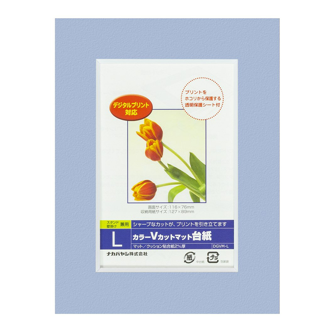 ナカバヤシ カラーVカット台紙L判/ブルー/V DGVM-L-B/V [274-834427]