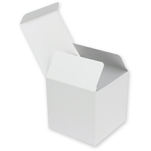 シモジマ HEIKO 白無地箱 H-79 サック式 10枚入り 006837900 [452-701029]