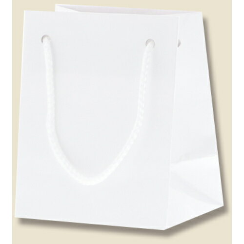 ⥸ HEIKO 󤲻 ֥饤ȥХå  T-5 10 006143300 [452-558272]