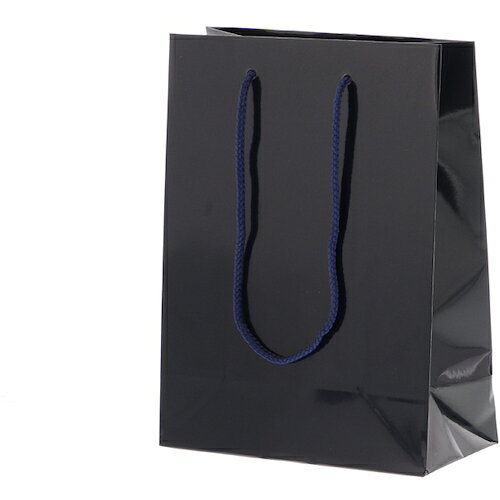 ⥸ HEIKO 󤲻 ֥饤ȥХå 纰 T-3 10 006142225 [452-559842]