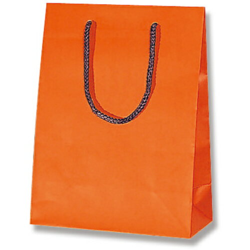 ⥸ HEIKO 󤲻 ֥饤ȥХå D󥸡ʥޥåȥס T-3 10 006143160 [452-572520]