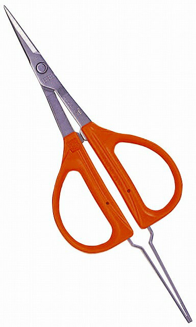 近正 チカマサ ステンレスぶどう鋏 ピンセット付 大型 B-300SP [708-015102]