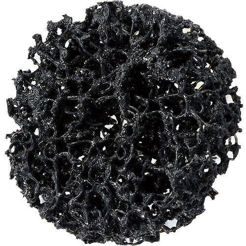  20AC ֥쥤ɥۥꤢ BRFW5013 [719-340051]