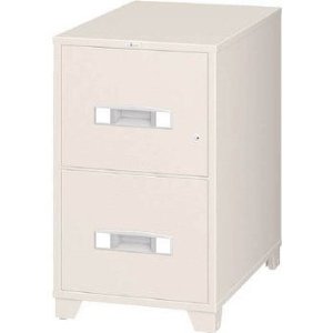 エーコー 【別途送料】 【個人宅不可】 耐火ファイリングキャビネット EA4-2G [905-651637]