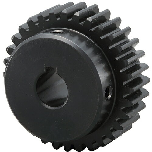 片山チエン KANA カンセイ ヒラハグルマ M1B25C M1B25C [927-00014642]