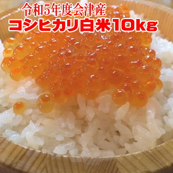 米10kg コシヒカリ 【こだわり精米】 令和5年産 福島県 会津産 送料無料【楽ギフ_のし】sふくしまプライド。体感キャンペーン