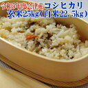 玄米 25kg コシヒカリ（白米22.5kg） 令和5年産 福島県 会津産 送料無料 佐川急便 sふくしまプライド。体感キャンペーン