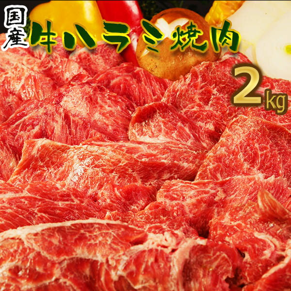 牛肉 やわらかい ハラミ 味付 特選タレ 100g 1人前 焼肉 ホルモン 送料無料 BBQ バーベキュー アウトドア 母の日 父の日 ギフト プレゼント