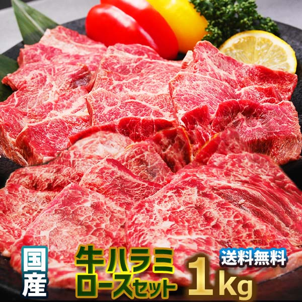 送料無料！国産牛 焼肉 セット 味付 詰め合わせ1kg 国産牛サーロイン（ロース）250g×2P＋国産牛ハラミ250g×2P】4人から6人前 お徳用 バーベキュー用 美味しい 牛肉 焼肉 セット サーロイン ハラミ お弁当 おかずに お誕生日 お祝い お歳暮 御礼 。