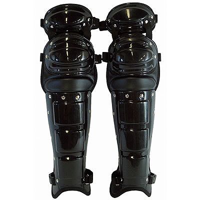 アンパイアレガーツ Wカップ