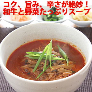 博多 ユッケジャン 450g（約2人前） ／ 和牛 野菜たっぷり スープ 旨みと辛さが絶...