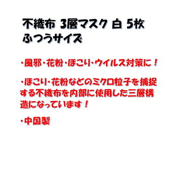 【送料無料】マスク MASK 不織布3層マスク 白 5枚 ポスト投函 配達日指定不可 返品交換不可 ふつうサイズ 大人用 風邪 花粉 ウィルス飛沫 3層構造 立体プリーツ 使い捨て 使い切り