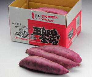 【堀他】五郎島金時1kg ギフト 北陸 石川 金沢銘店 加賀野菜 さつま芋