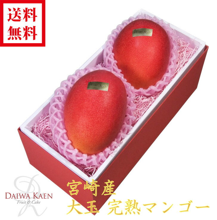 送料無料 宮崎産 アップル マンゴー 化粧箱 大玉 御中元 高級 フルーツ 果物 ギフト 自家用 プレゼント 御中元 お供え お見舞い 御礼 お祝い 内祝い 贈り物 入学祝 就職祝