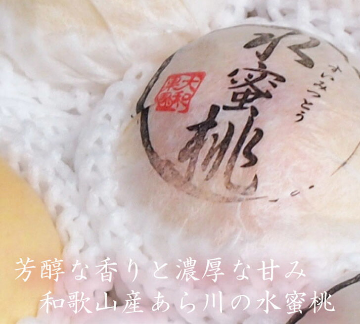 送料無料 御中元 糖度センサー選別 和歌山産 桃 大玉 木箱 高級 フルーツ 果物 ギフト 自家用 プレゼント 白鳳 清水白桃 高糖度 お中元 お供え お見舞い 御礼 お祝い 内祝い 贈り物