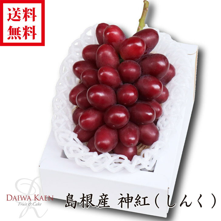 送料無料 島根産 神紅 ぶどう 高級 果物 フルーツ ギフト プレゼント 高糖度 残暑御見舞 お供え お祝い お見舞い 内祝い 御礼 贈り物