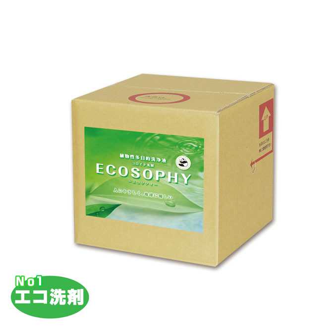 エコ洗剤 エコソフィ 濃縮タイプ コロイド洗剤 20L ノズル付 オフィス レストラン 店舗 商業 病院 激安