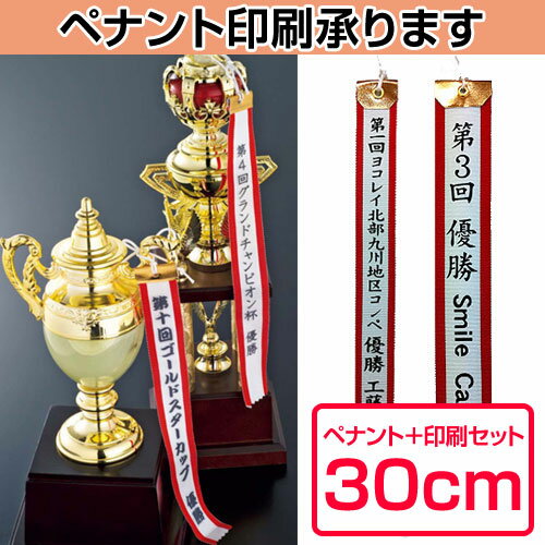 【プレート彫刻無料】樹脂製優勝カップCP-1244-D　表彰・記念品・レプリカ