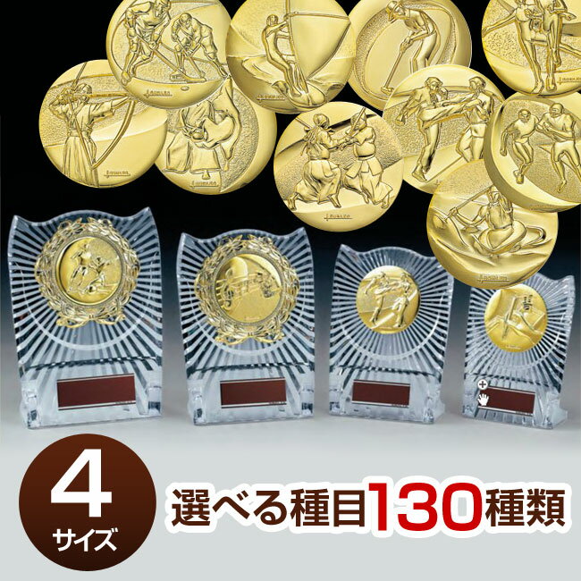 盾（記念品） 種目メダル付記念楯・樹脂製（高さ173mm）ATZ3477-A【文字彫刻無料】【卒部/卒団/卒業記念品/発表会】[S/#24]