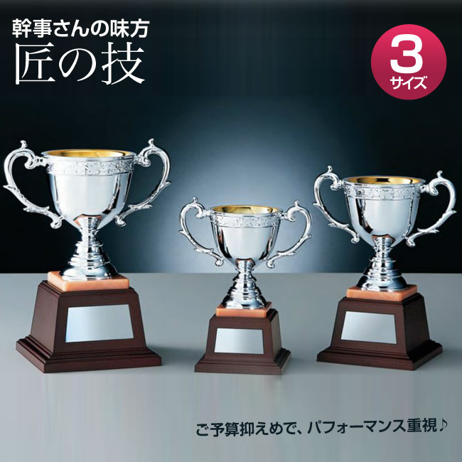 サイズ：高さ170x口径75mm材質：ABS樹脂製、人工大理石板付、高級UV塗装仕上げ 台座：樹脂製 重さ：390g ※ボール化粧箱入り ◎3サイズある中の3番目の大きさです。（ABC-C） ◎「樹脂成型カップ GOLD N0-8771」の商品ページはこちら 優勝カップ、カップ、cup、表彰記念品、コスパ、スポーツ表彰、イベント表彰、卒業記念、徽章、記章、販売、トロフィー他のサイズを見る（匠の技・樹脂成型カップ SILVER NO3770）