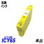 ICY65 ñ  ץץ󥿡Ѹߴ EP ICå ɽǽ ICC65 ICM65 ICY65 IC65IC4CL6165