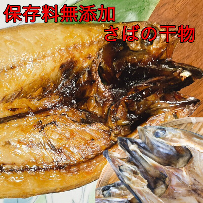 大きい さば 干物 お試し 干物セット 送料無料 さば 3枚