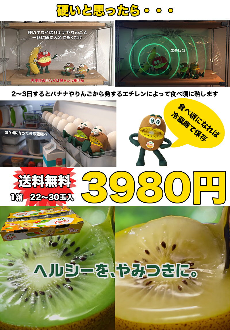 熱い販売 ゼスプリ キウイ サンゴールド キウィフルーツ 3kg Kiwi Kiwi Kiwi キウイフルーツ ニュージーランド産 22 30玉入 約3kg 送料無料 Greatblackspeakers Com