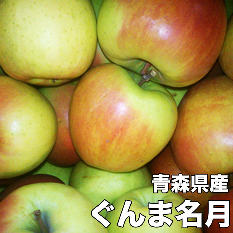 りんご 10Kg 訳あり 青森県産 ぐんま名月 10kg りんご 訳あり 青森 10kg お試し ぐんまめいげつ