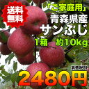 【ご家庭用★送料無料】青森県産サンふじりんご 約10kg 糖...