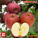 【ご家庭用】青森県産サンふじりんご 約10kg 糖度保証 サ...