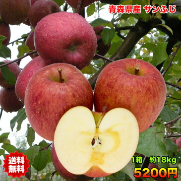 りんご サンふじ りんご 訳あり 18kg 送料無料 りんご 青森 りんご 18kg りんご 木箱 りんご サンふじ さんフジ ご家庭用 クール対応 青森県産 青森県 普通便送料無料 当店のりんごは糖度保証 毎日の健康の為にそのままでもジュースにしても