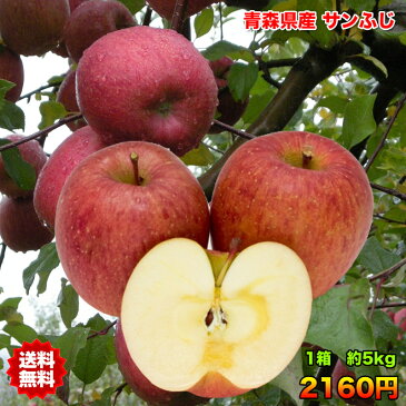 りんご サンふじ りんご 訳あり 5kg 送料無料 りんご 青森 りんご 5kg りんご サンふじ さんフジ ご家庭用 クール対応 糖度保証 青森県産 青森県 普通便送料無料 当店のりんごは糖度保証 毎日の健康の為にそのままでもジュースにしても