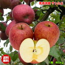 りんご サンふじ りんご 訳あり 5kg箱 CA貯蔵 りんご 青森県産 サンふじ りんご 5kg りんご サンふじ さんフジ ご家庭用 クール対応 糖度保証 青...