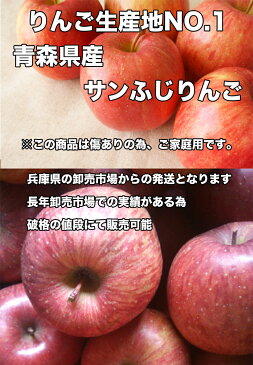 りんご サンふじ りんご 訳あり 5kg 送料無料 りんご 青森 りんご 5kg りんご サンふじ さんフジ ご家庭用 クール対応 糖度保証 CA貯蔵 青森県産 青森県 普通便送料無料 当店のりんごは糖度保証 毎日の健康の為に、そのままでもジュースにしても