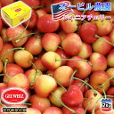 予約 アメリカンチェリー オービル農園 GEE WHIZ 大粒 レイニアチェリー 2kg 世界最高品質 レーニアチェリー チェリー cherry 【7月10日〜...