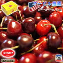 予約 アメリカンチェリー オービル農園 GEE WHIZ 大粒 ダークチェリー 1kg 送料無料 世界最高品質 ダークチェリー チェリー cherry 【7月1...