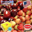 予約 アメリカンチェリー オービル農園 GEE WHIZ 大粒 レイニアチェリー & ダークチェリー MIX 合計2kg 送料無料 世界最高品質 レーニアチェリ...